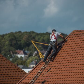 Stogo dangos priežiūra: kaip prailginti tarnavimo laiką?