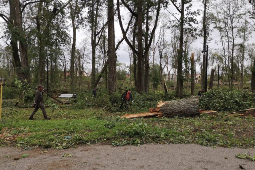 Klimato kaita Lietuvoje: 2024-ieji buvo šilčiausi orų stebėjimo istorijoje